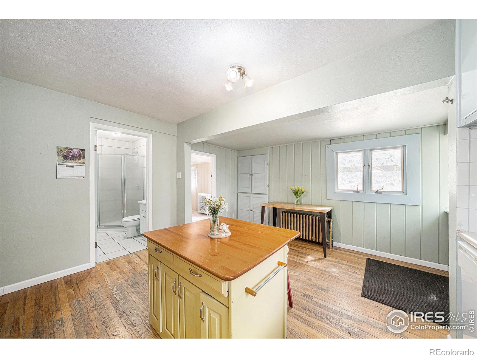 MLS Image #13 for 736  kimbark street,longmont, Colorado