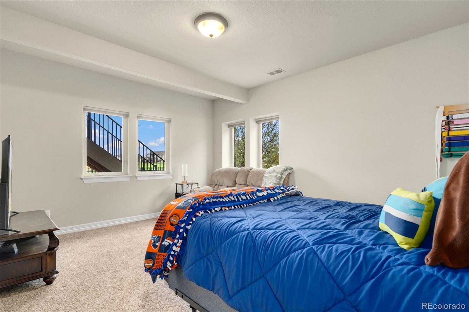 MLS Image #34 for 5954  black lion court,windsor, Colorado