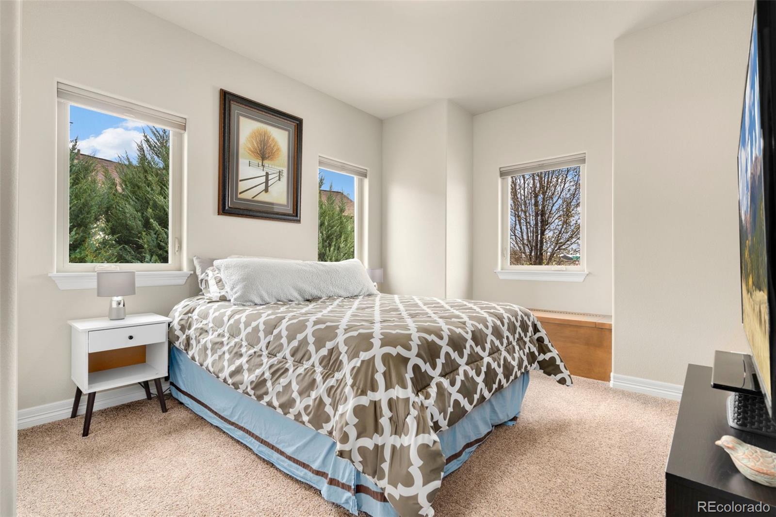 MLS Image #35 for 5954  black lion court,windsor, Colorado