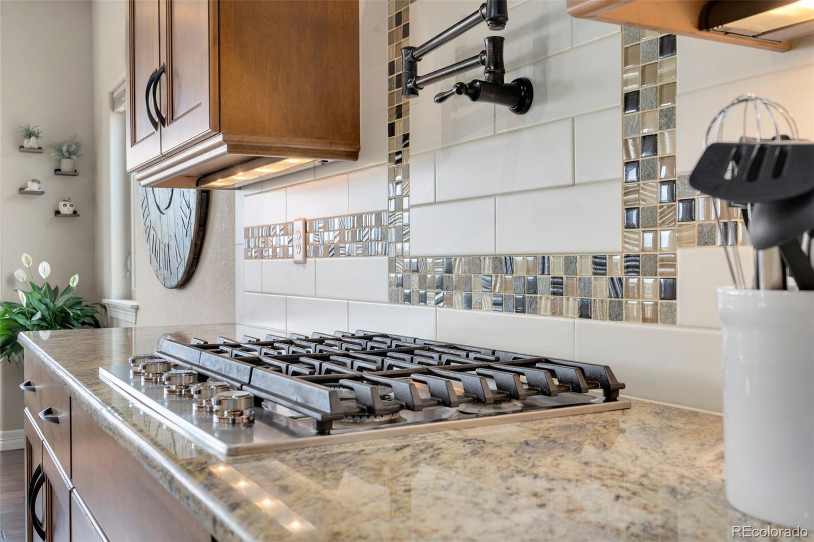 MLS Image #8 for 5954  black lion court,windsor, Colorado