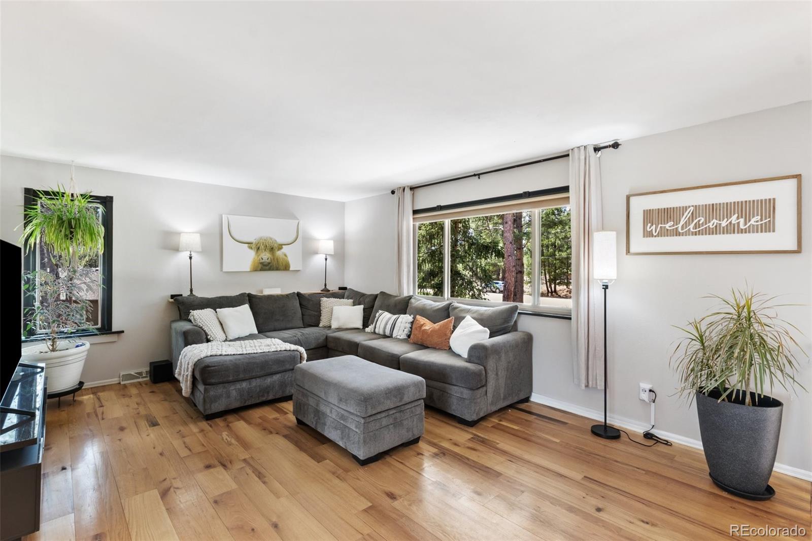 MLS Image #2 for 10755  egerton road,colorado springs, Colorado