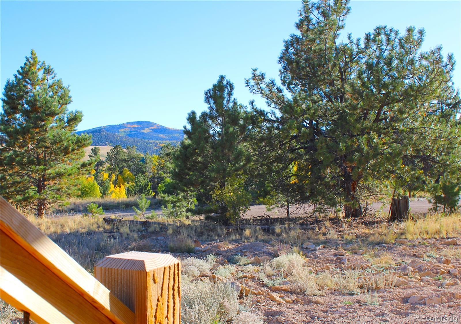 MLS Image #4 for 59  whip way,hartsel, Colorado