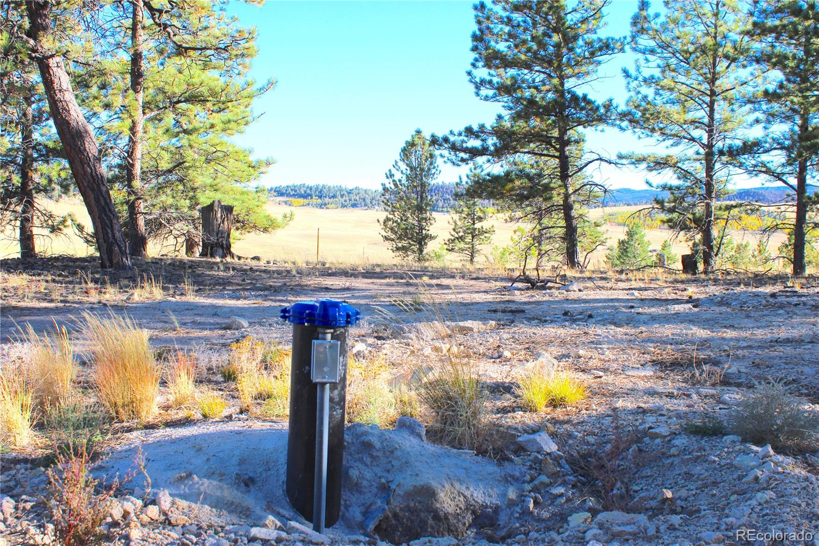 MLS Image #40 for 59  whip way,hartsel, Colorado
