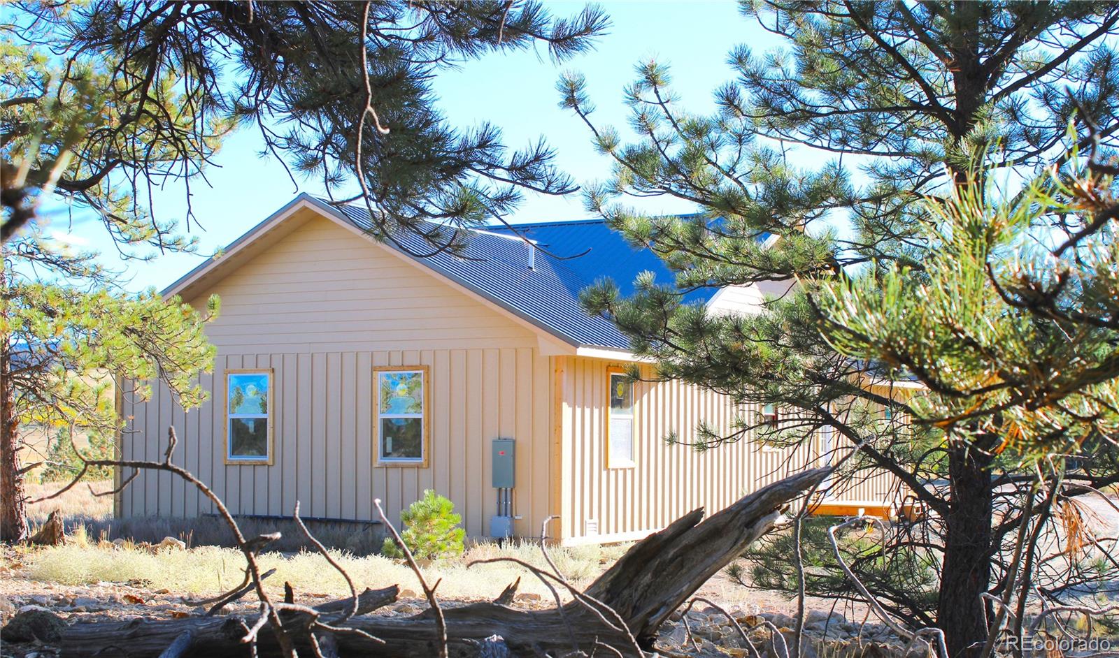 MLS Image #7 for 59  whip way,hartsel, Colorado