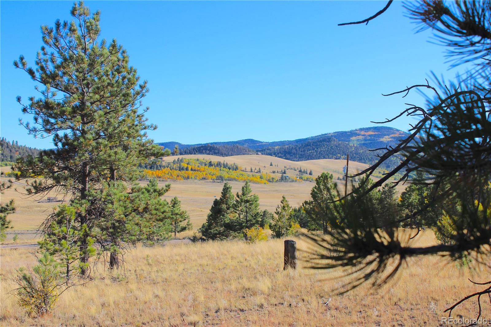 MLS Image #9 for 59  whip way,hartsel, Colorado