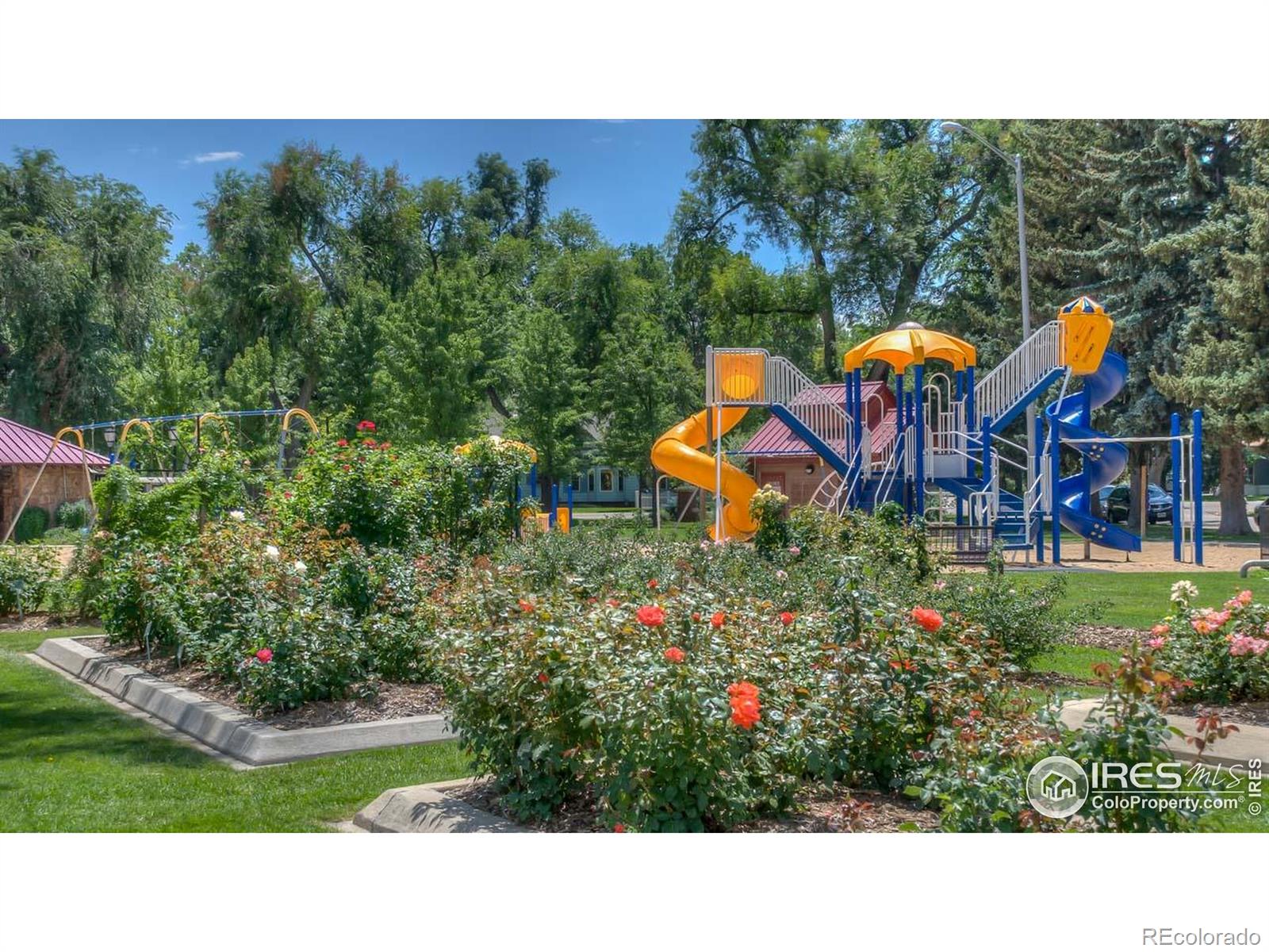 MLS Image #35 for 1304  9th avenue,longmont, Colorado