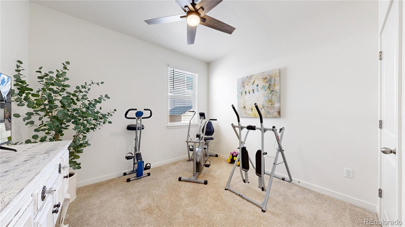 MLS Image #11 for 4642  longs peak street,brighton, Colorado