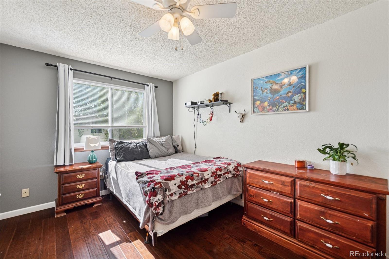 MLS Image #9 for 3904  breaking dawn street,colorado springs, Colorado
