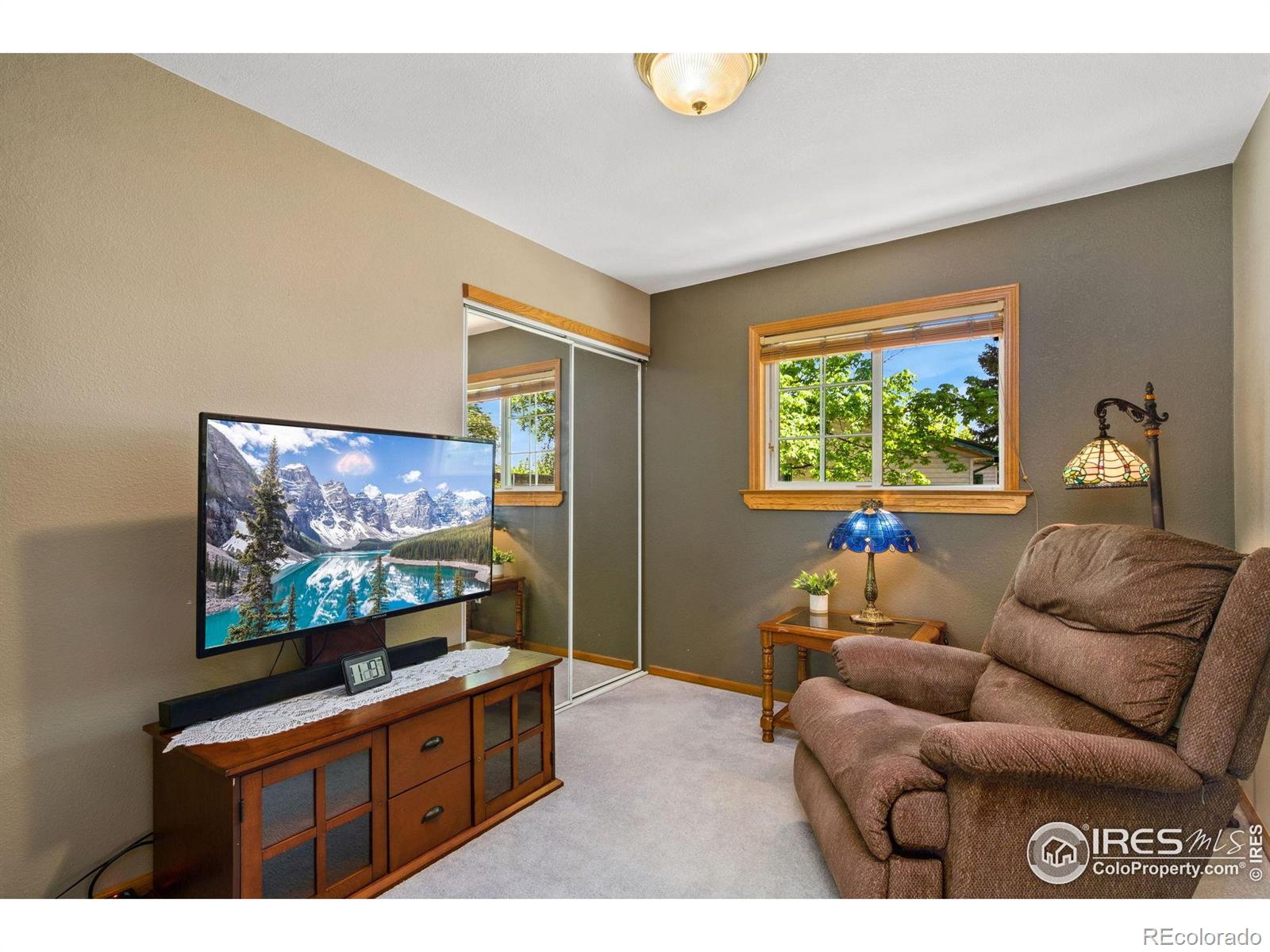 MLS Image #13 for 5930  mars drive,fort collins, Colorado