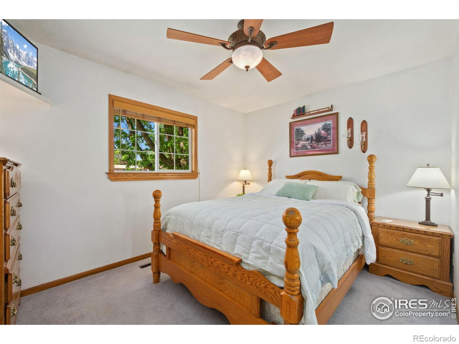 MLS Image #14 for 5930  mars drive,fort collins, Colorado