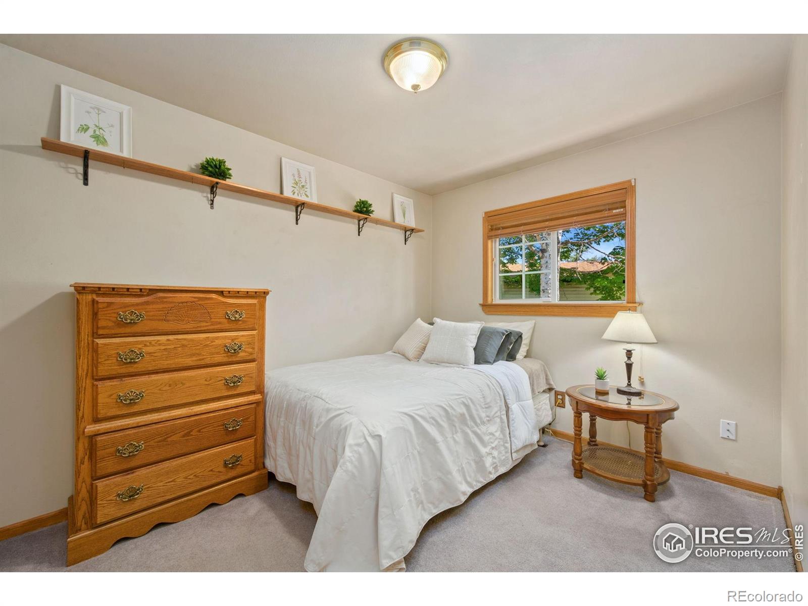 MLS Image #15 for 5930  mars drive,fort collins, Colorado