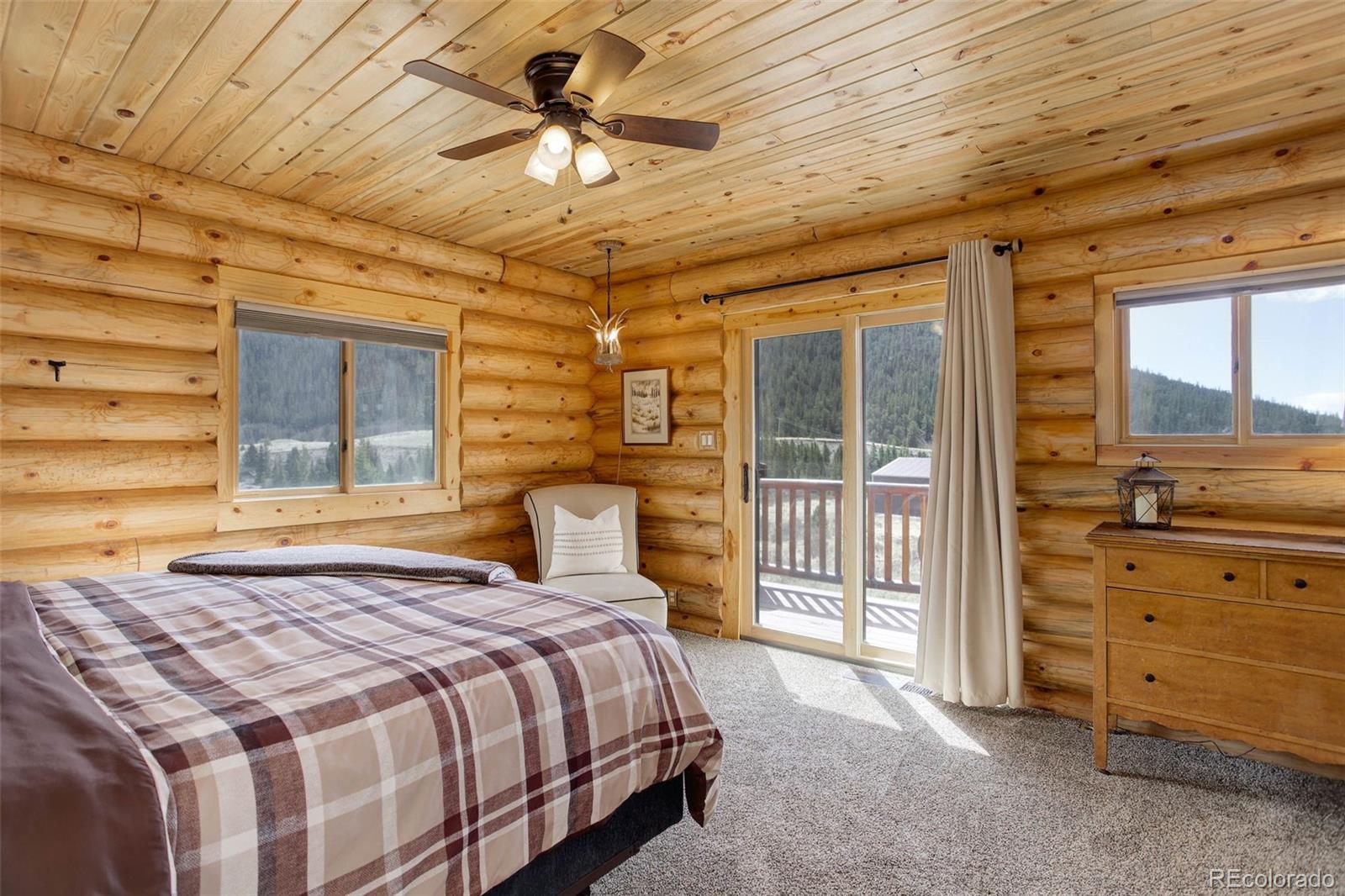MLS Image #19 for 824  cr-6 ,alma, Colorado