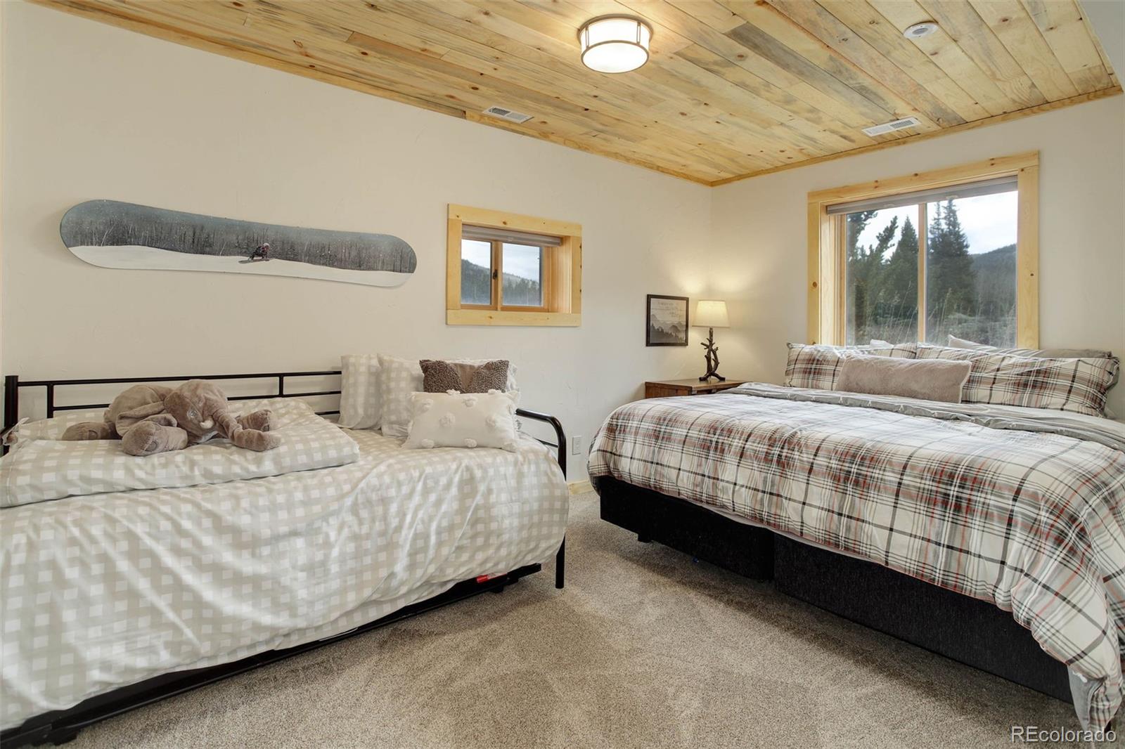 MLS Image #25 for 824  cr-6 ,alma, Colorado