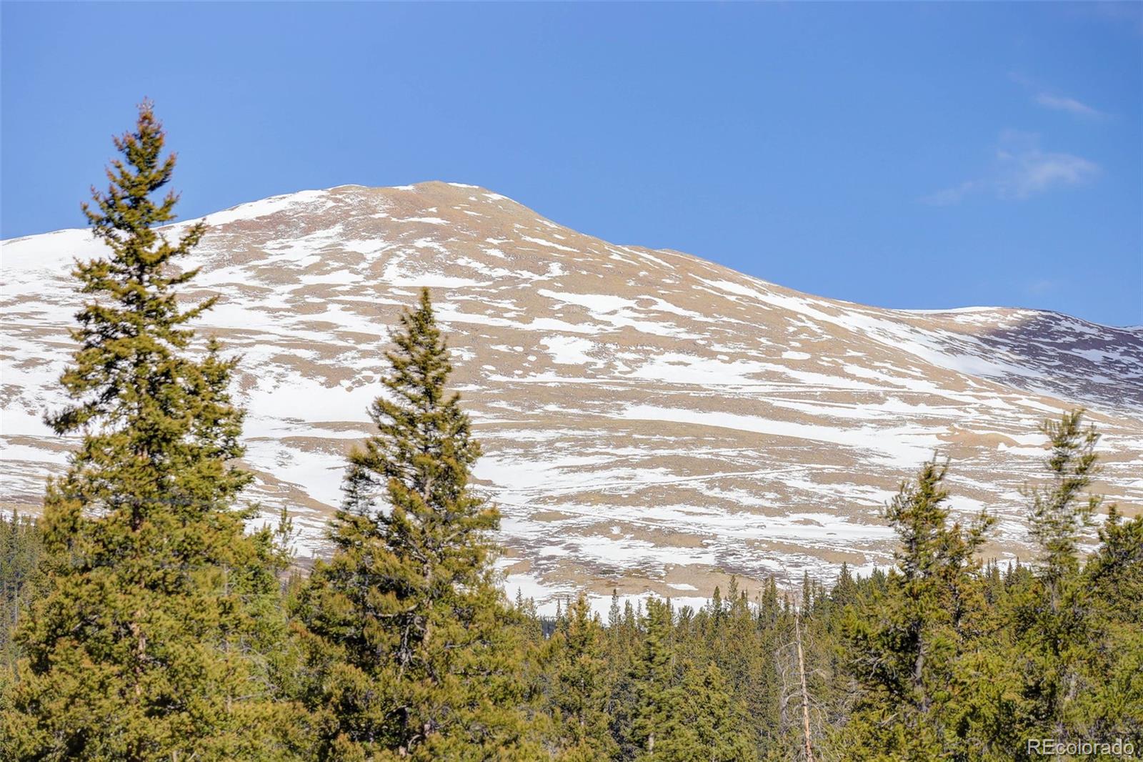 MLS Image #49 for 824  cr-6 ,alma, Colorado