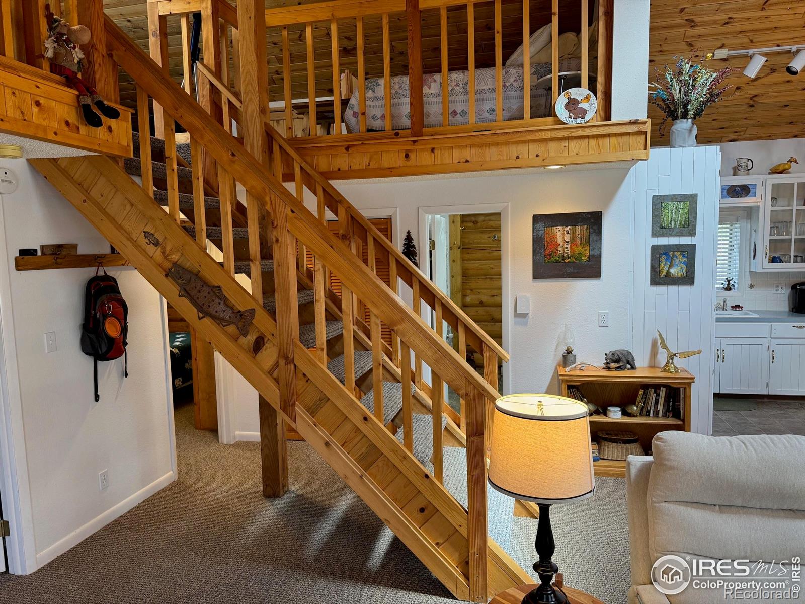 MLS Image #21 for 588  yuki drive,red feather lakes, Colorado