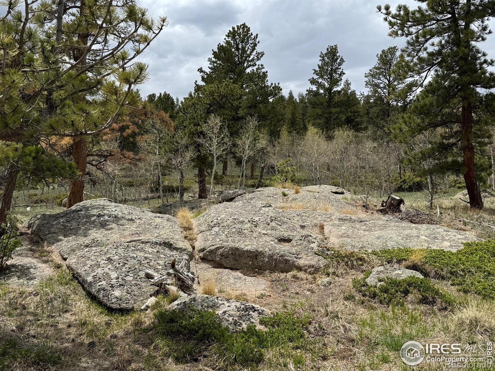 MLS Image #33 for 588  yuki drive,red feather lakes, Colorado