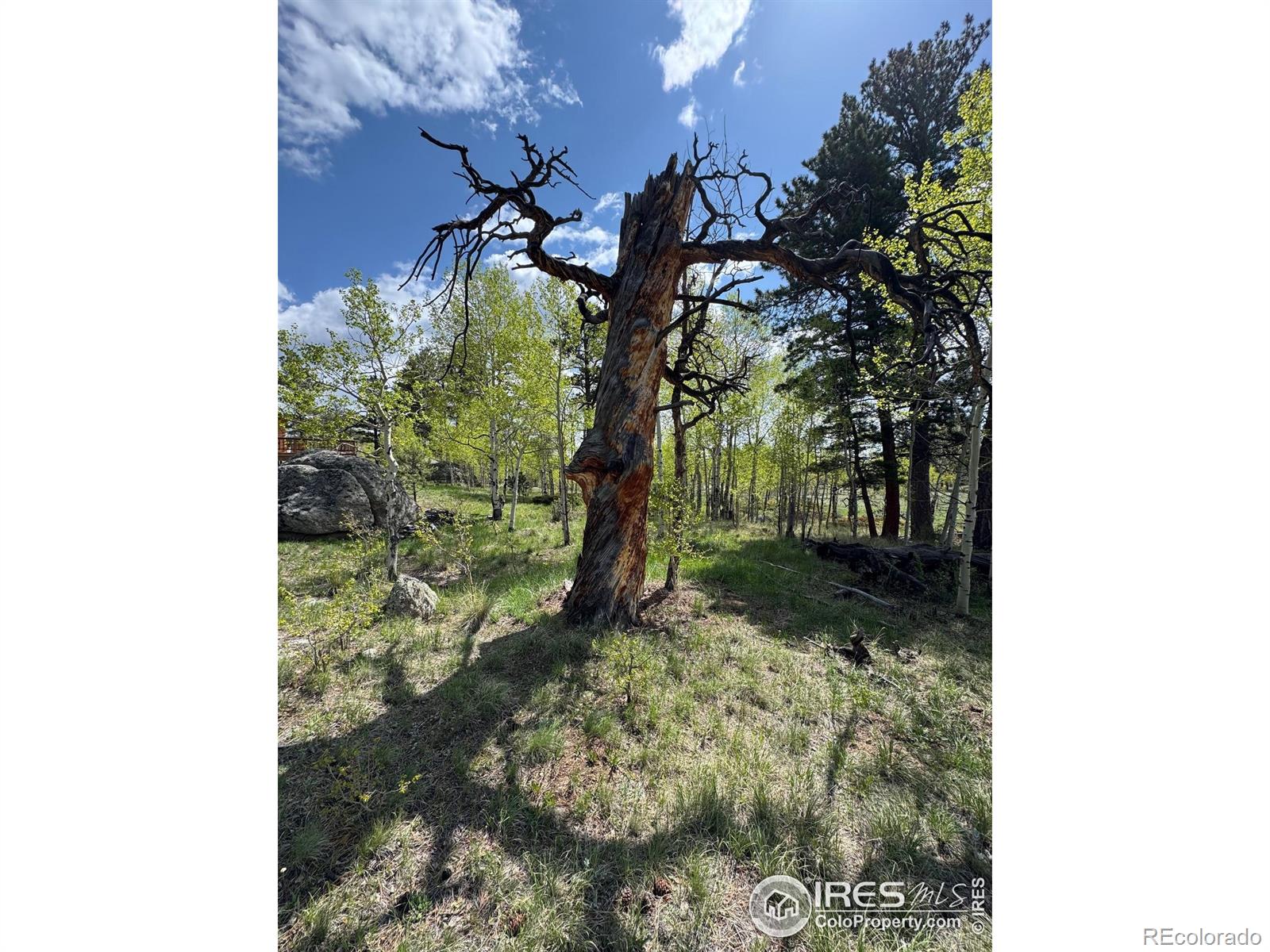 MLS Image #38 for 588  yuki drive,red feather lakes, Colorado