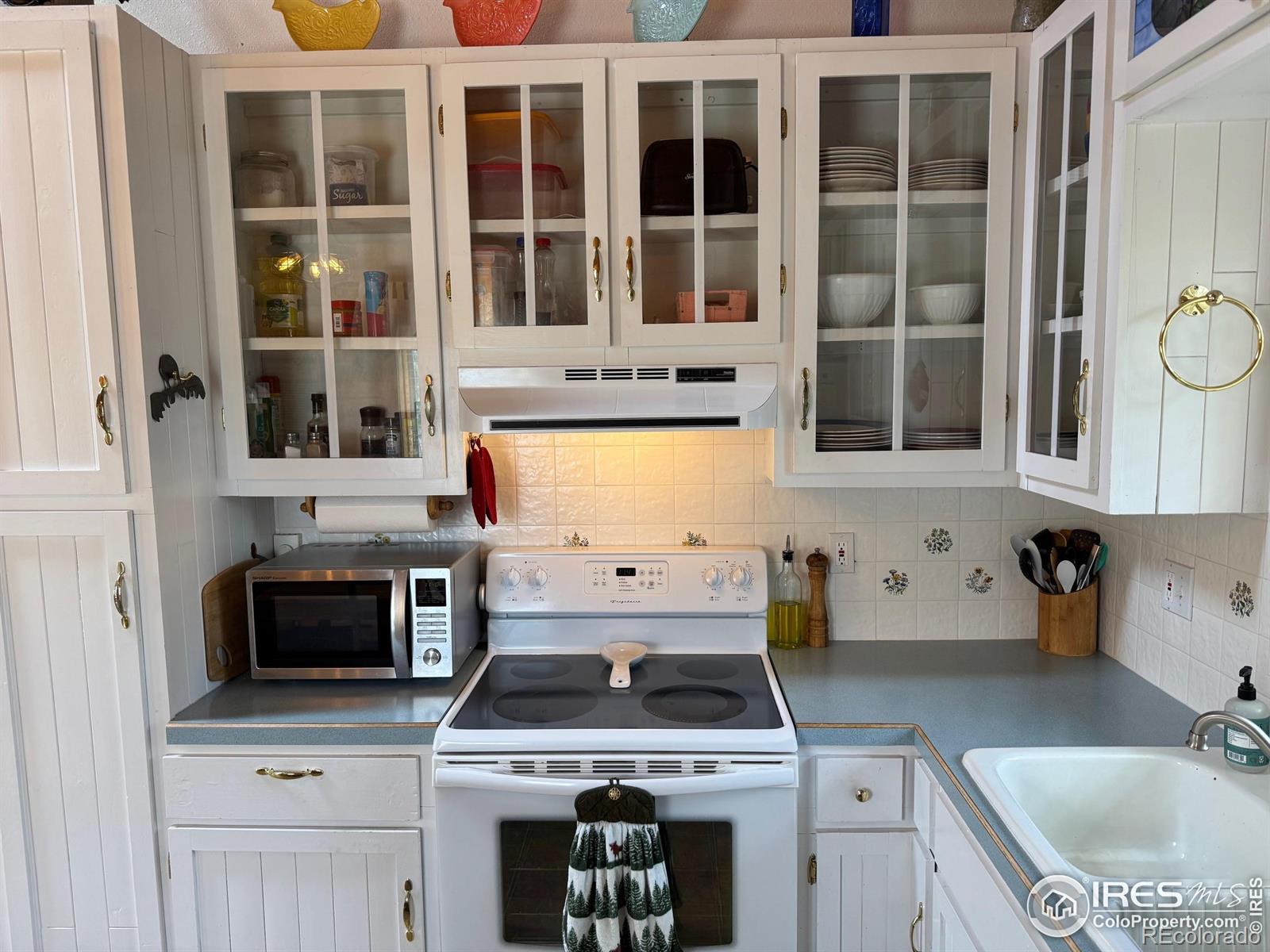 MLS Image #9 for 588  yuki drive,red feather lakes, Colorado
