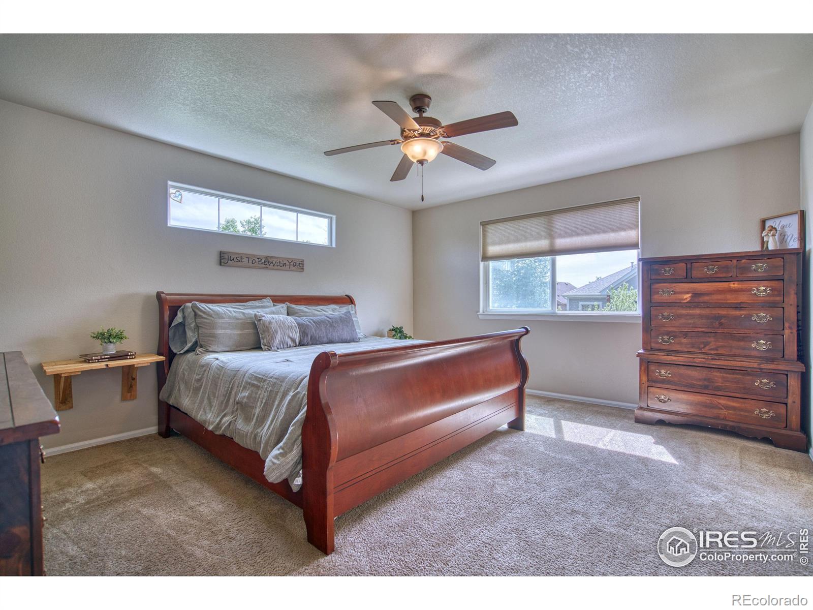 MLS Image #14 for 2069  vineyard court,windsor, Colorado