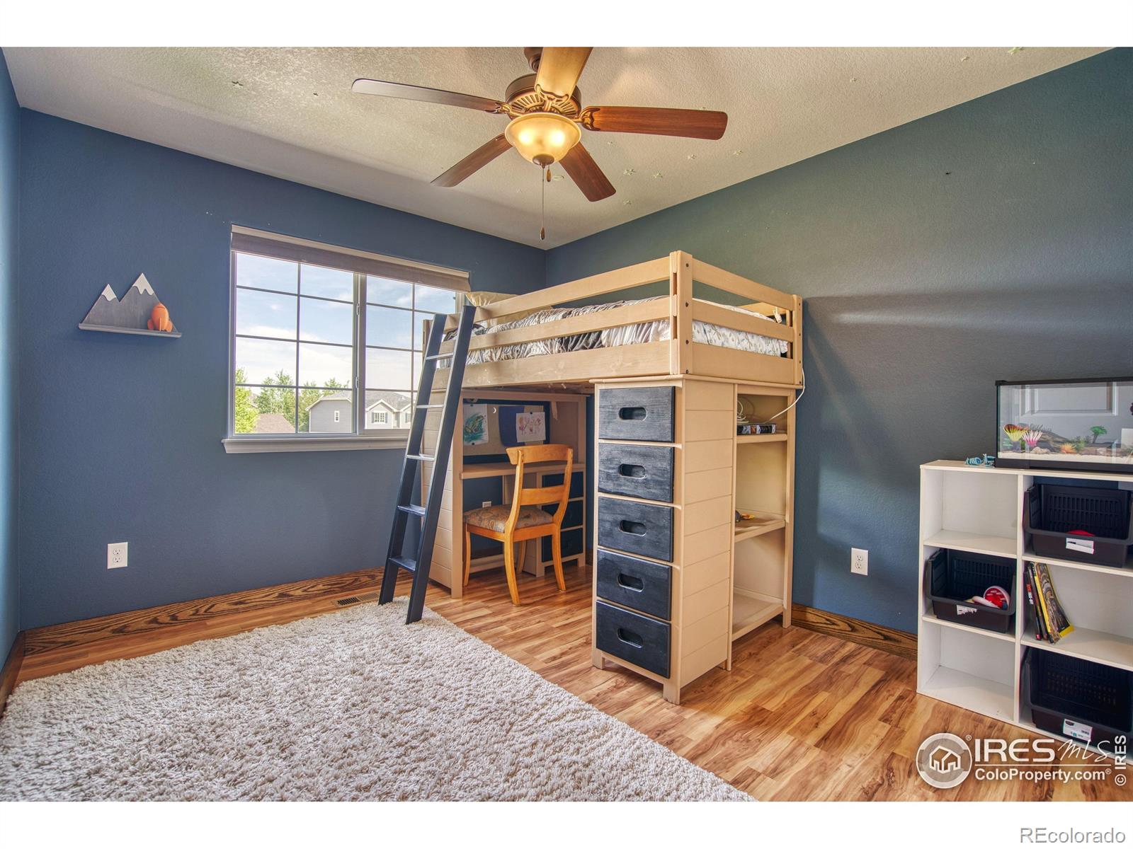 MLS Image #20 for 2069  vineyard court,windsor, Colorado