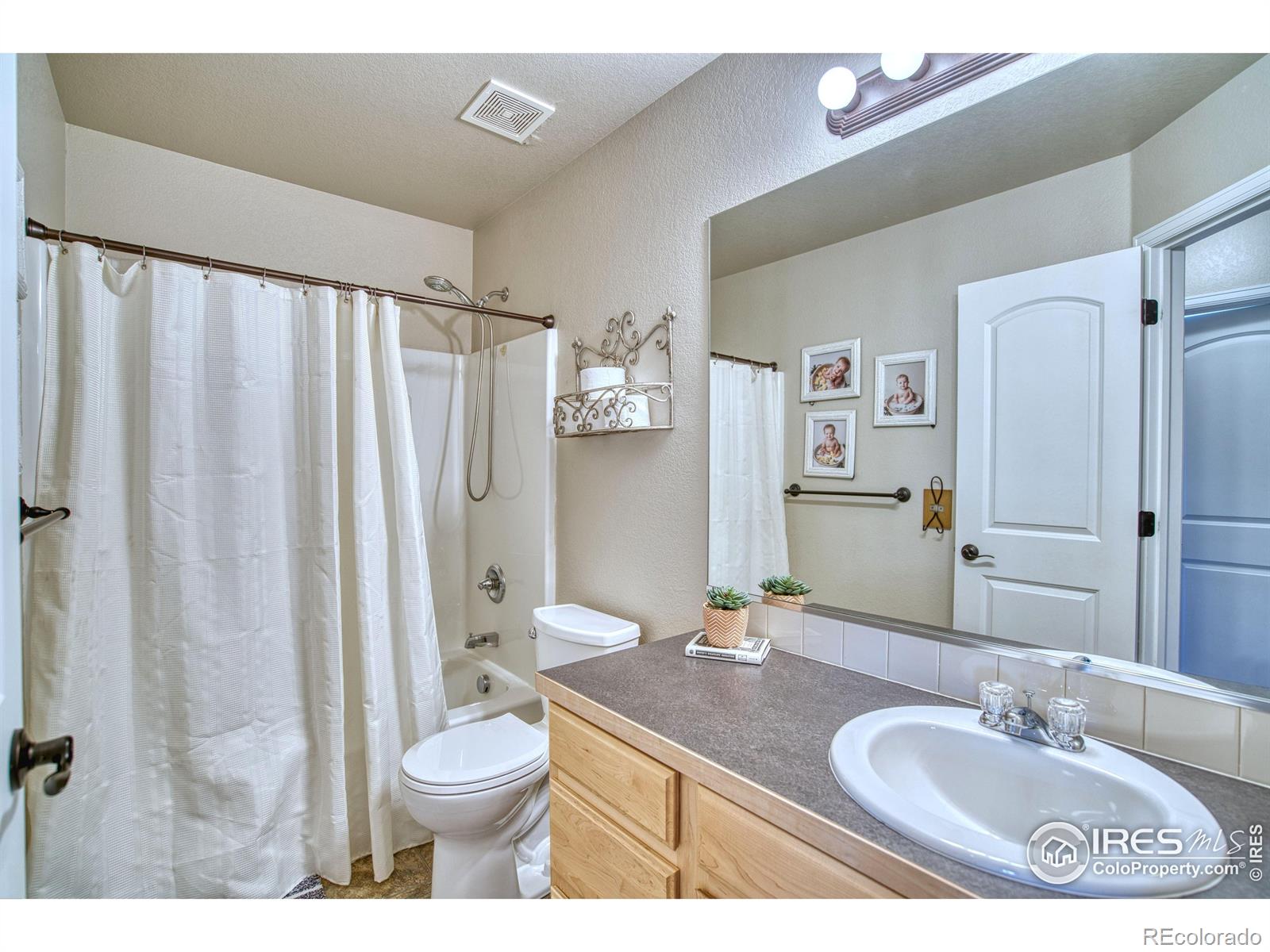 MLS Image #22 for 2069  vineyard court,windsor, Colorado