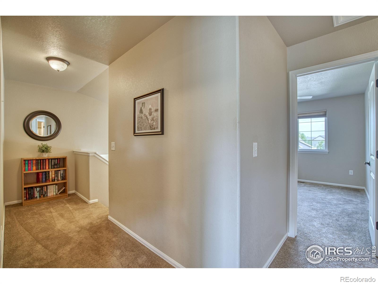 MLS Image #23 for 2069  vineyard court,windsor, Colorado