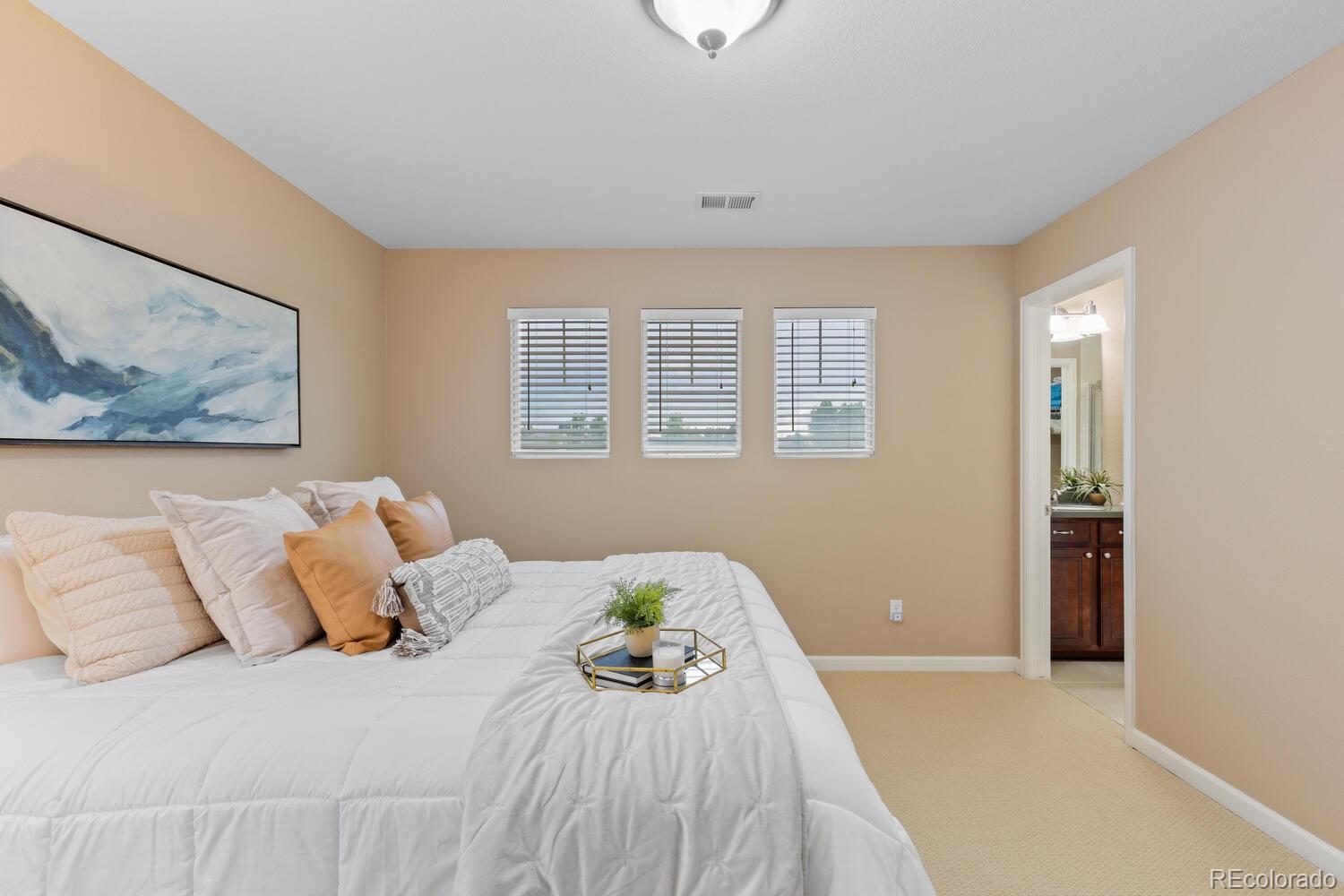 MLS Image #24 for 14278  greenfield loop,parker, Colorado