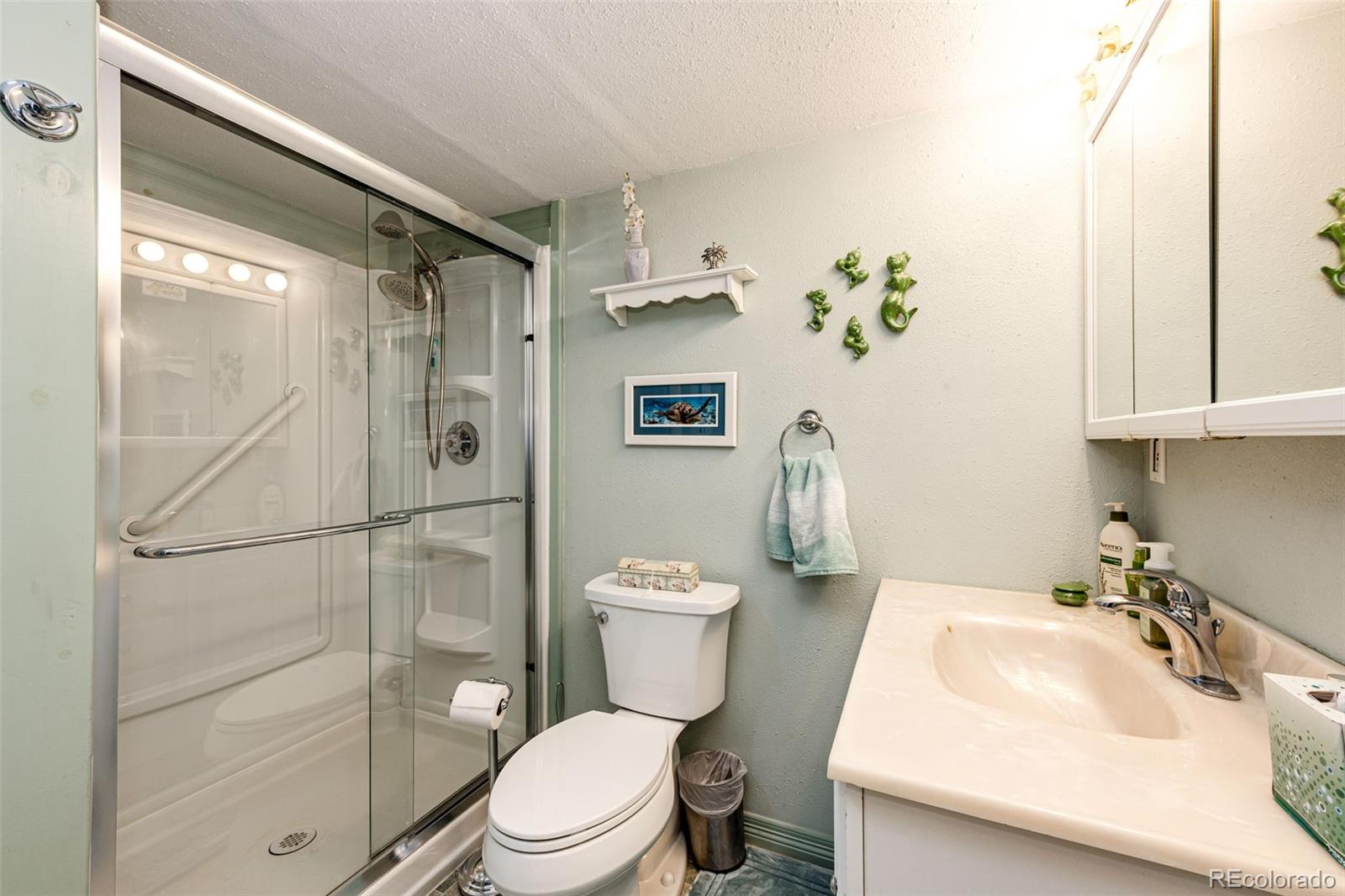 MLS Image #29 for 862  centennial way,bennett, Colorado