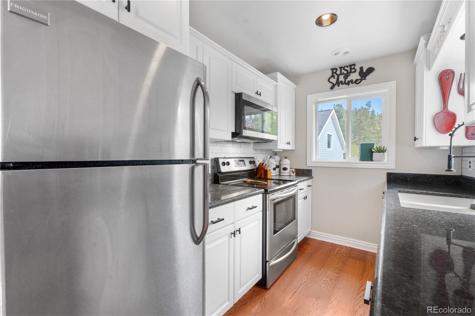 MLS Image #14 for 137  bob cat trail,bailey, Colorado