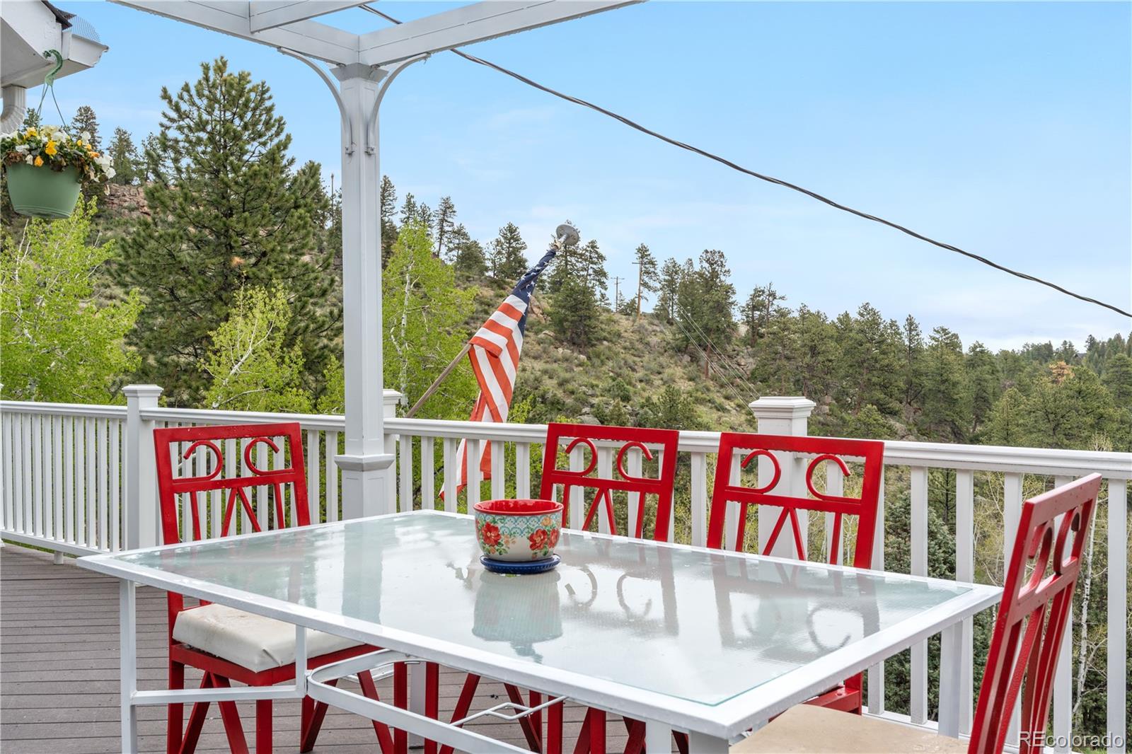 MLS Image #30 for 137  bob cat trail,bailey, Colorado