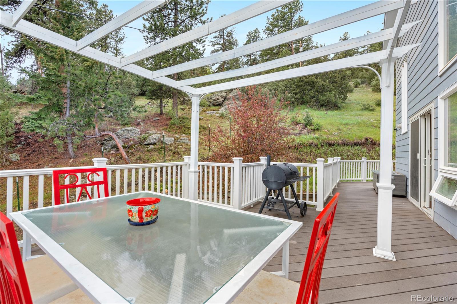 MLS Image #32 for 137  bob cat trail,bailey, Colorado