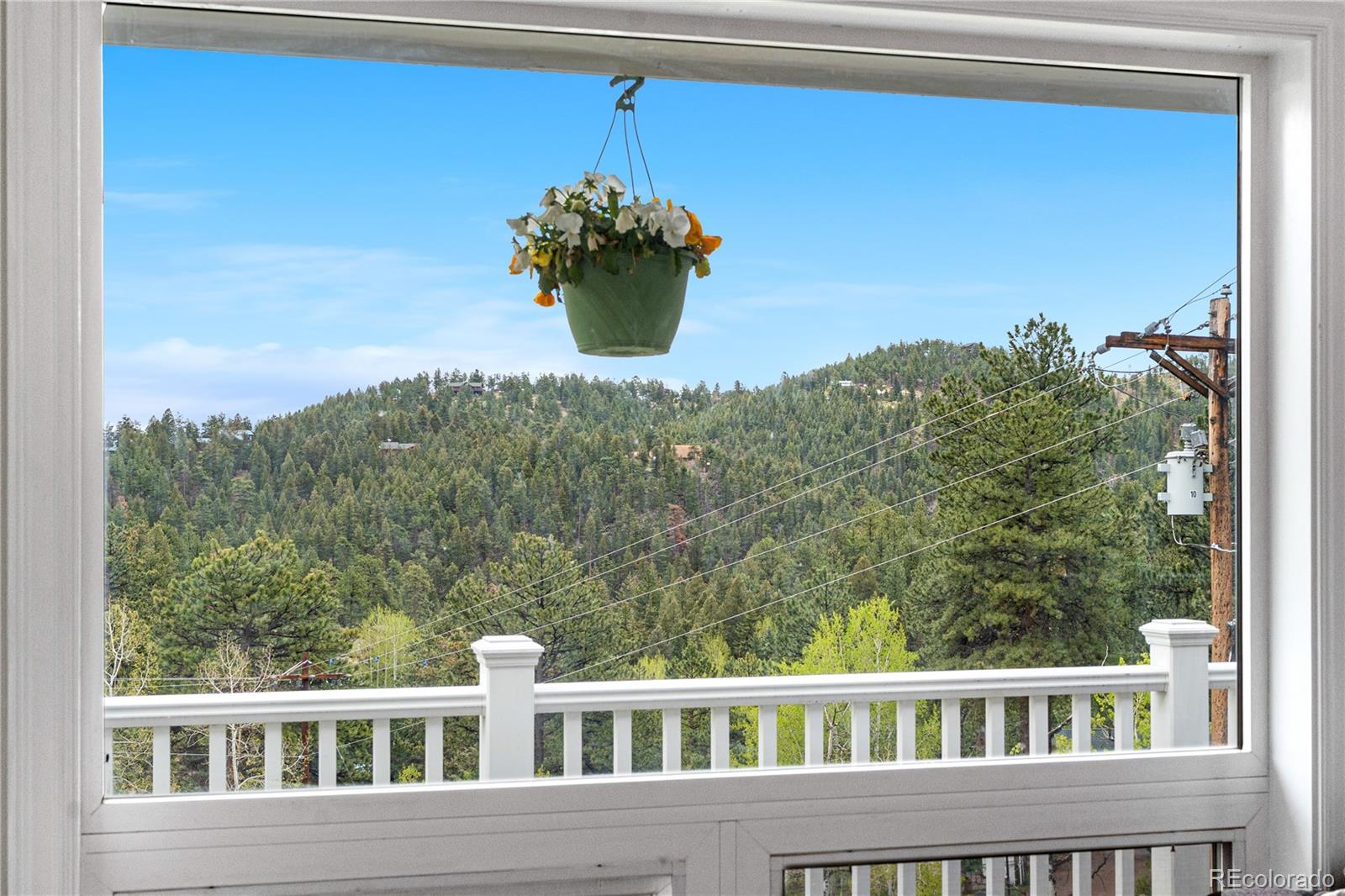 MLS Image #6 for 137  bob cat trail,bailey, Colorado