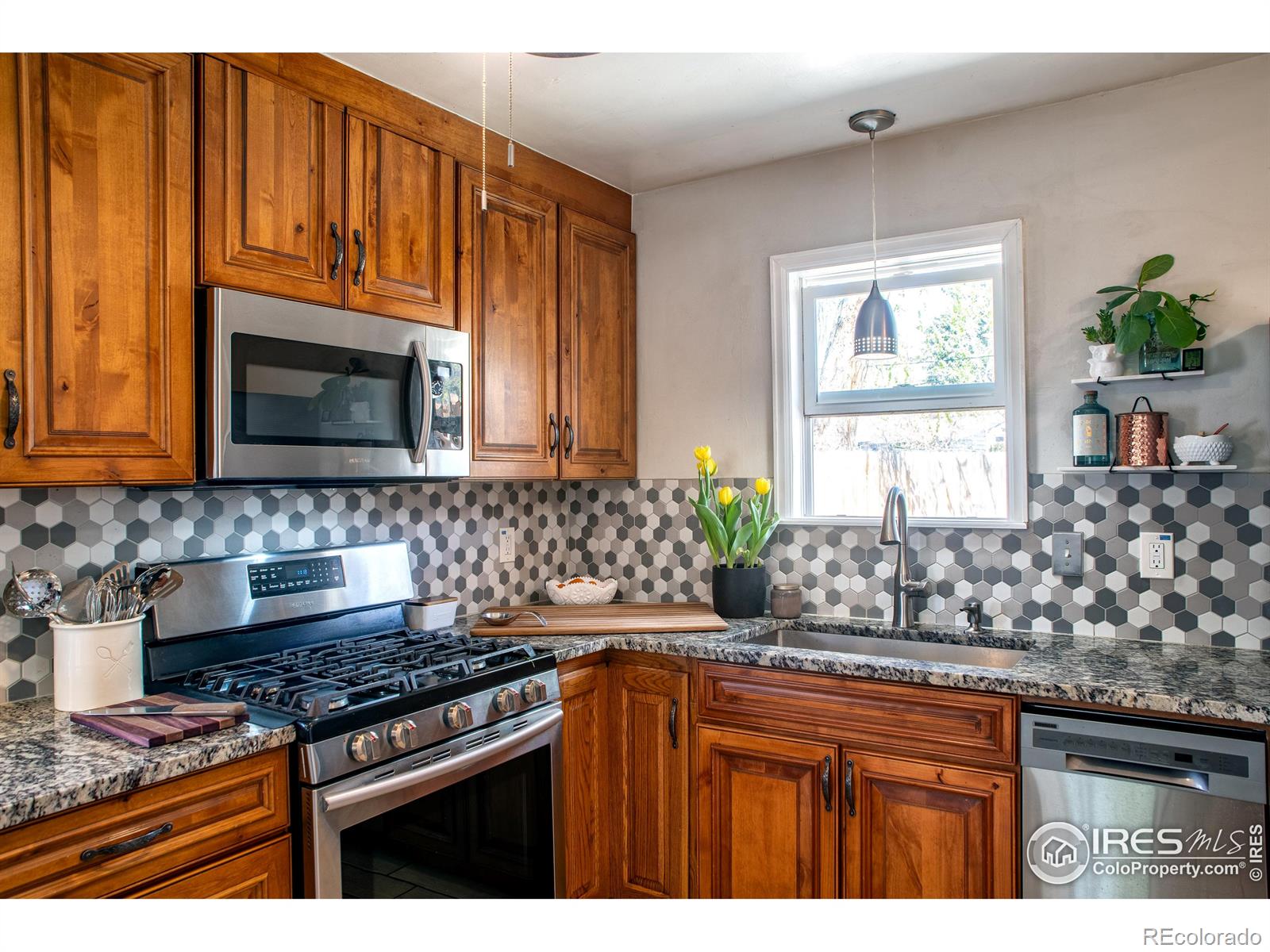 MLS Image #12 for 128 e 5th avenue,longmont, Colorado