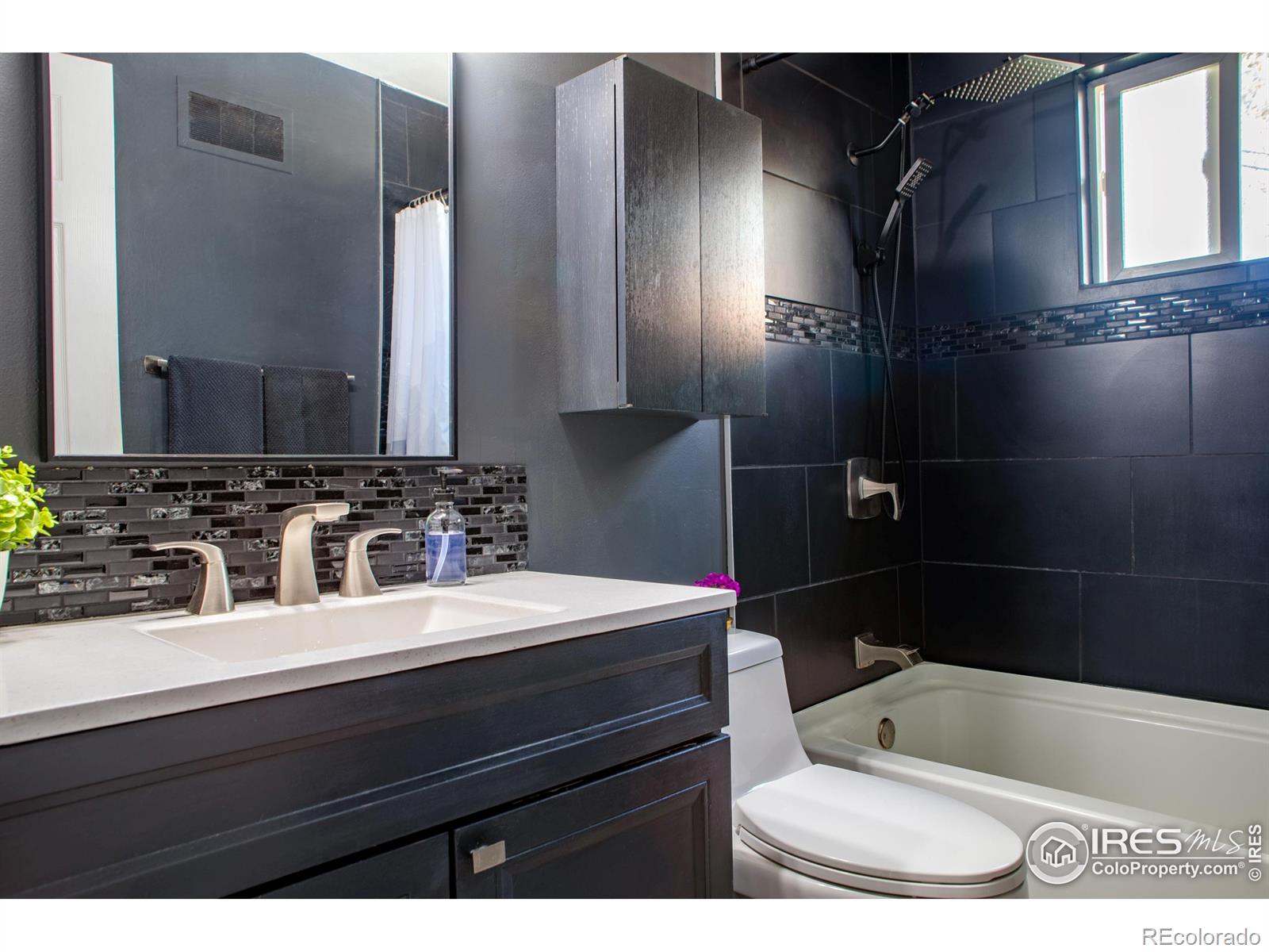 MLS Image #20 for 128 e 5th avenue,longmont, Colorado