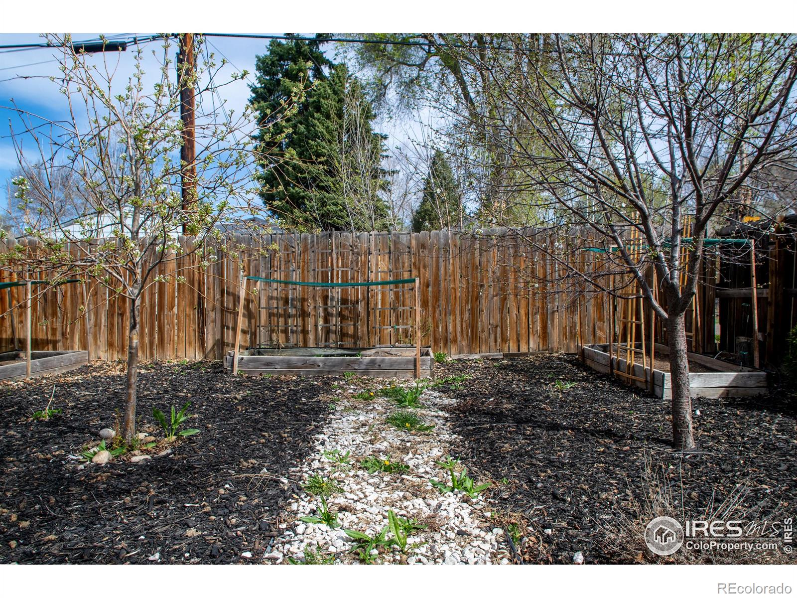 MLS Image #31 for 128 e 5th avenue,longmont, Colorado