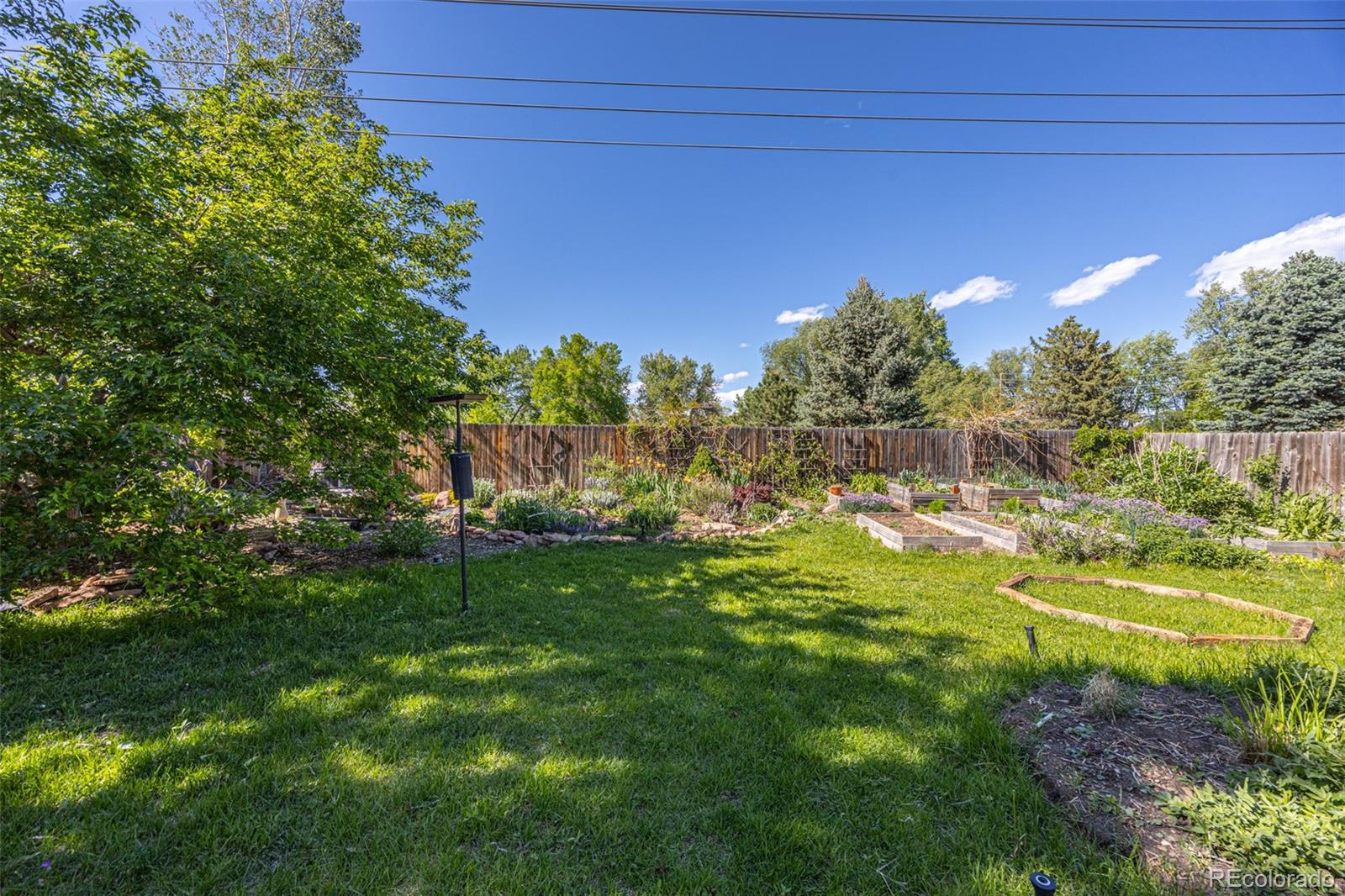 MLS Image #30 for 1424  cypress circle,lafayette, Colorado