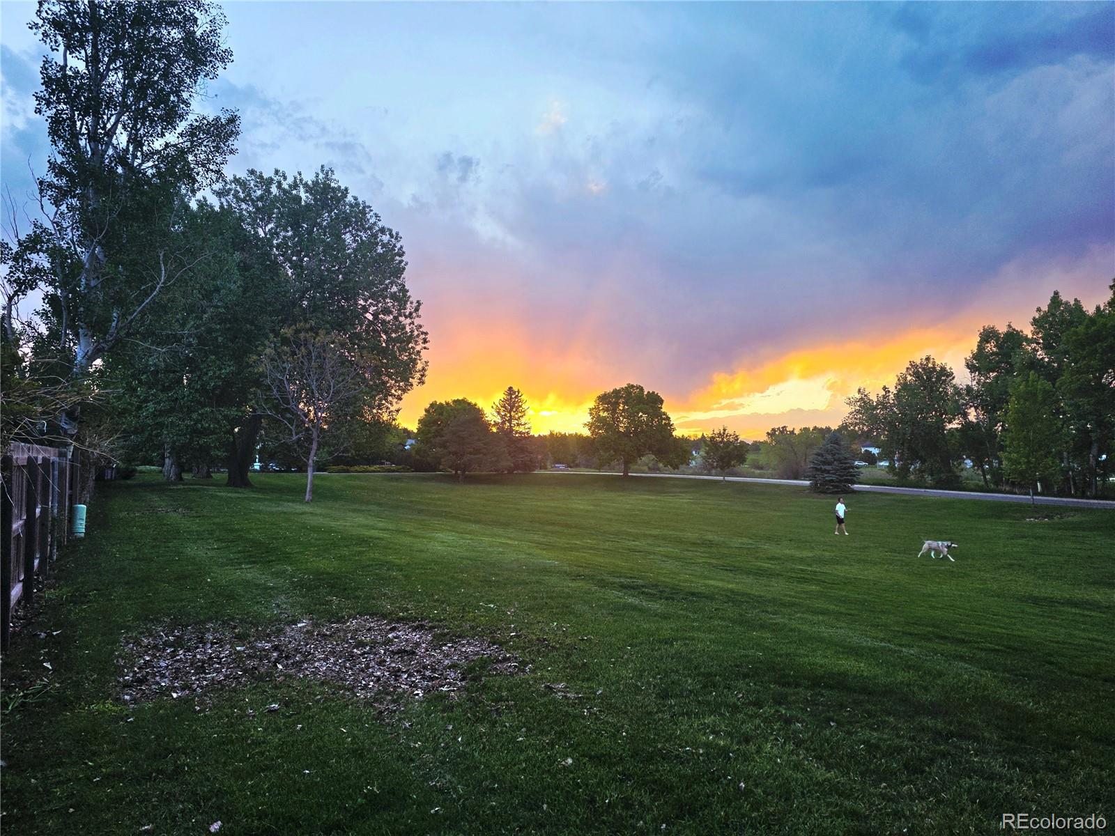 MLS Image #34 for 1424  cypress circle,lafayette, Colorado