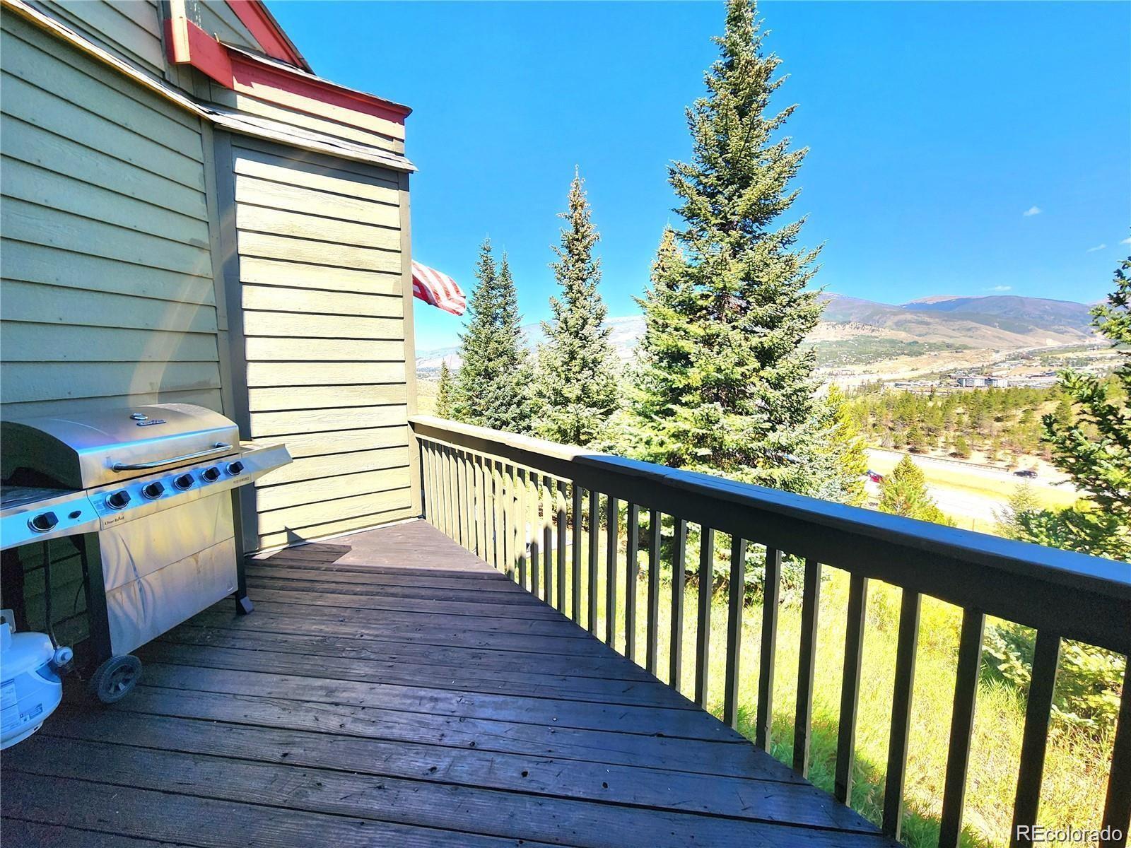 MLS Image #30 for 154  fawn court,silverthorne, Colorado