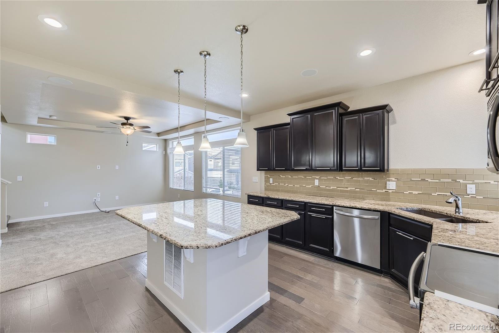 MLS Image #10 for 2564  sweet wind avenue,castle rock, Colorado