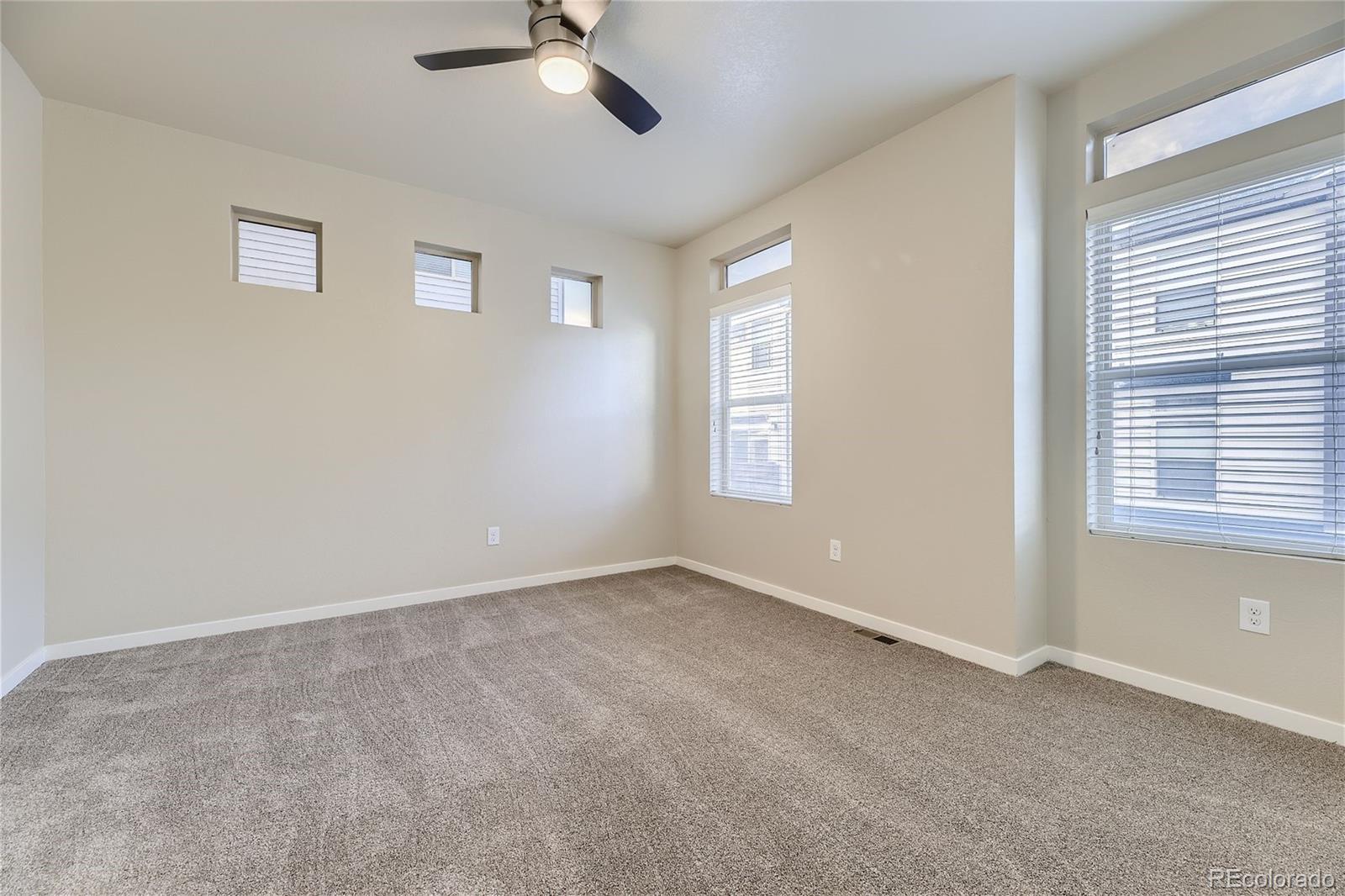 MLS Image #13 for 2564  sweet wind avenue,castle rock, Colorado