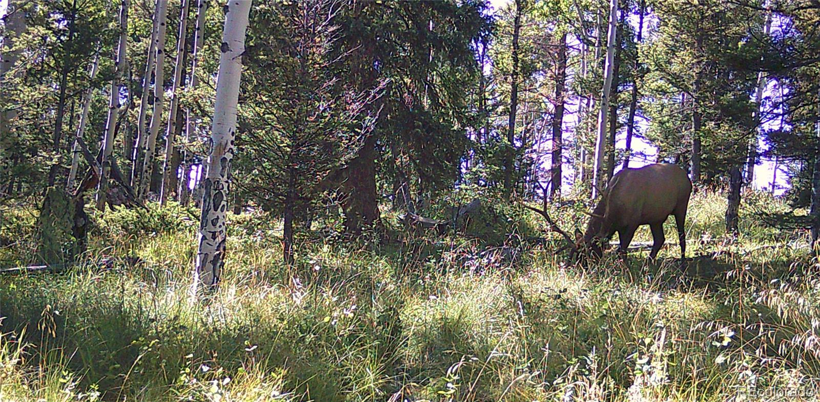 MLS Image #38 for 53  silver creek lake ,villa grove, Colorado