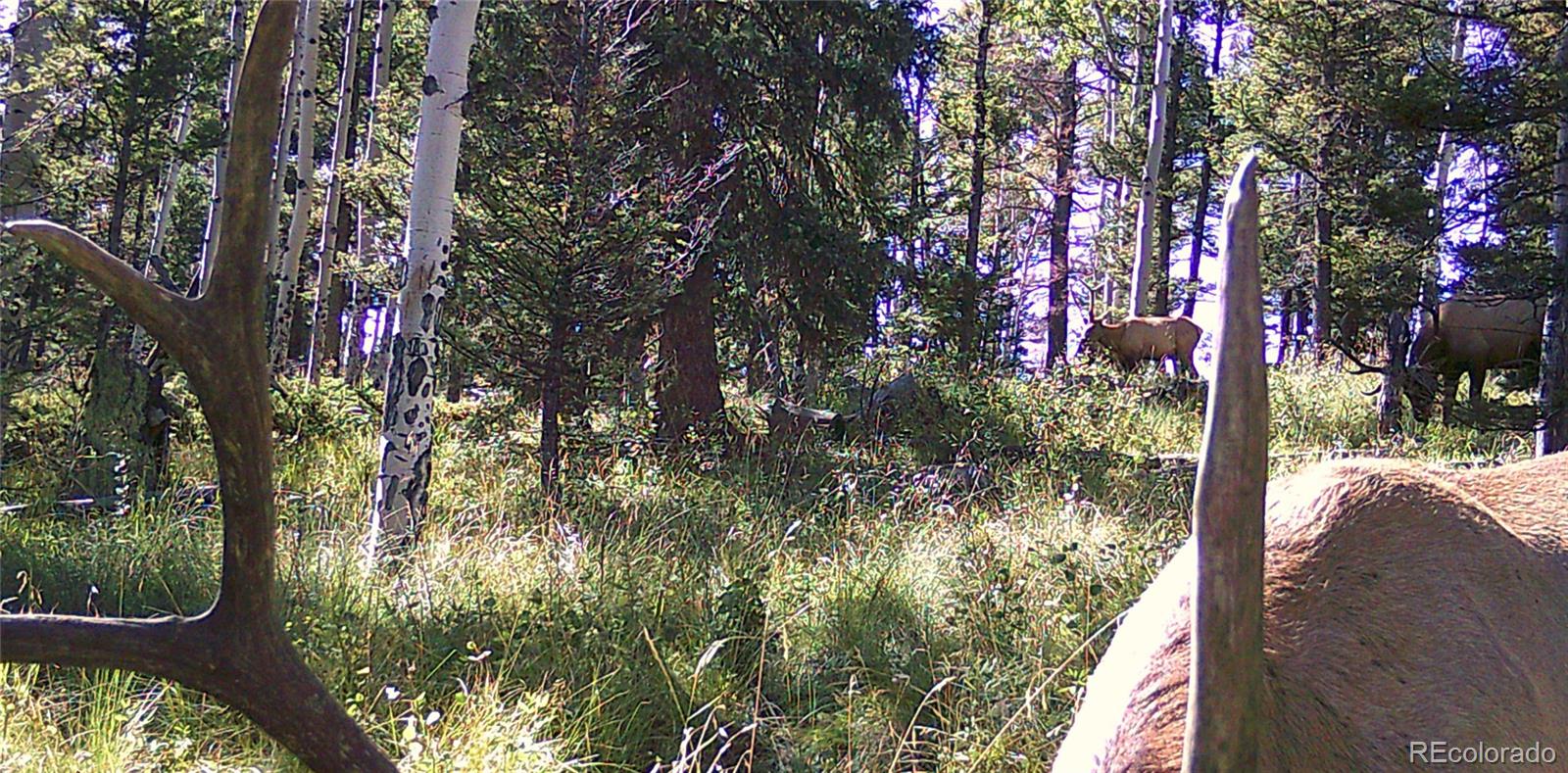 MLS Image #39 for 53  silver creek lake ,villa grove, Colorado