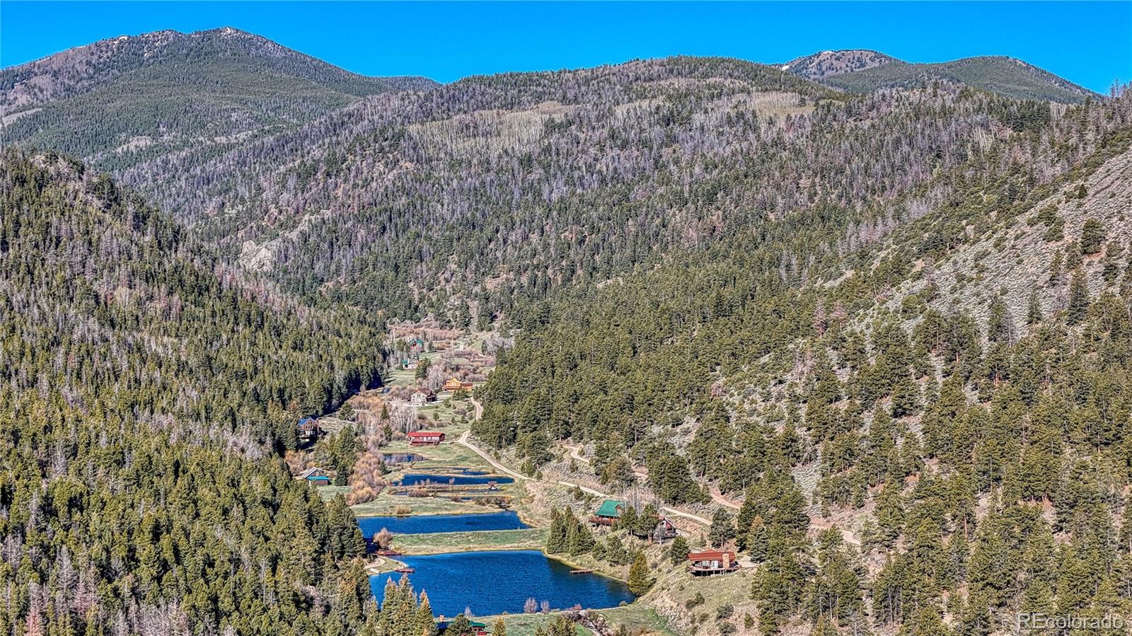 MLS Image #5 for 53  silver creek lake ,villa grove, Colorado