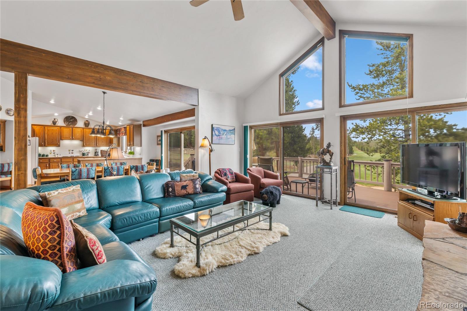 MLS Image #12 for 50  lichen lane,dillon, Colorado