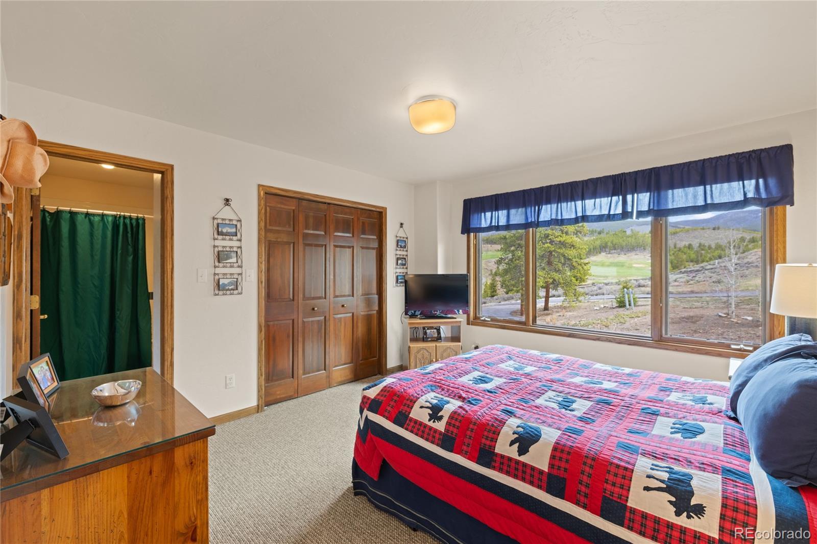 MLS Image #28 for 50  lichen lane,dillon, Colorado