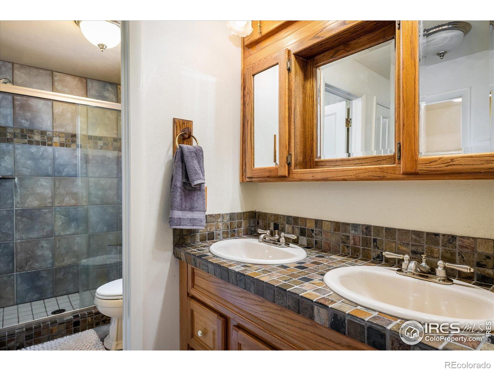 MLS Image #17 for 2117  stonehenge circle,lafayette, Colorado