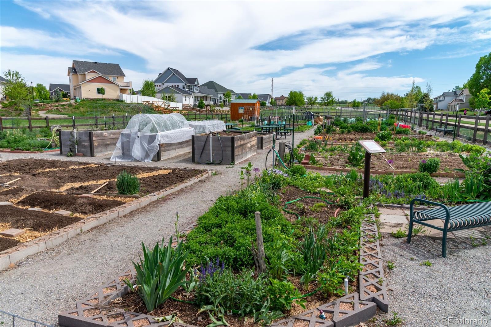 MLS Image #44 for 1264  banner circle,erie, Colorado