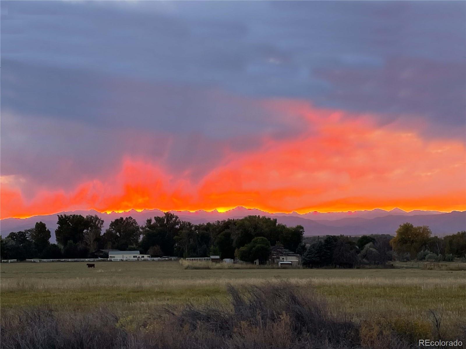 MLS Image #46 for 1264  banner circle,erie, Colorado
