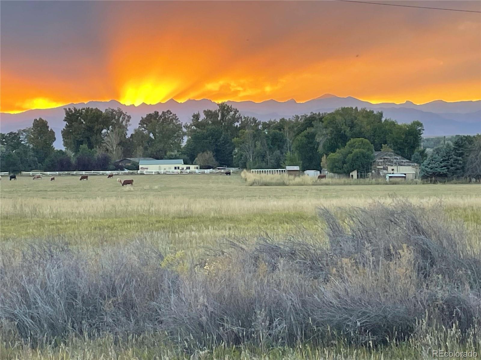 MLS Image #47 for 1264  banner circle,erie, Colorado