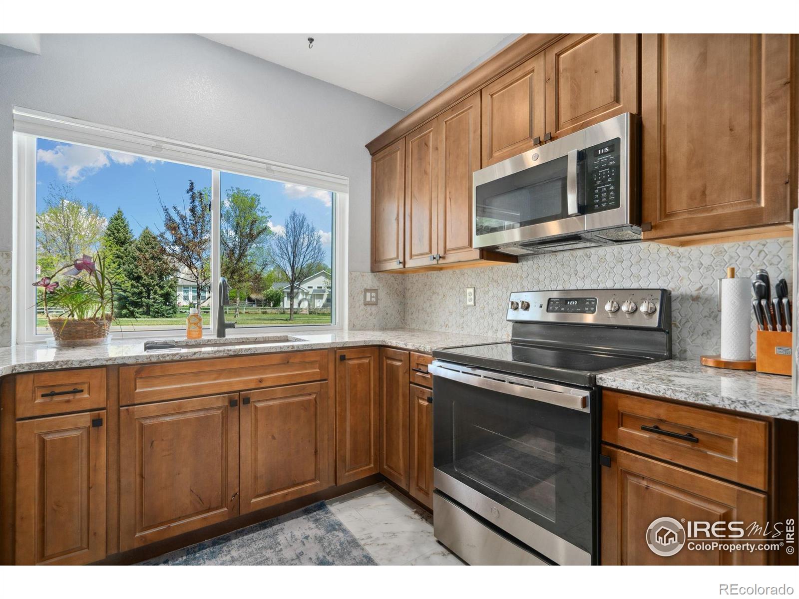 MLS Image #11 for 5225  white willow drive,fort collins, Colorado